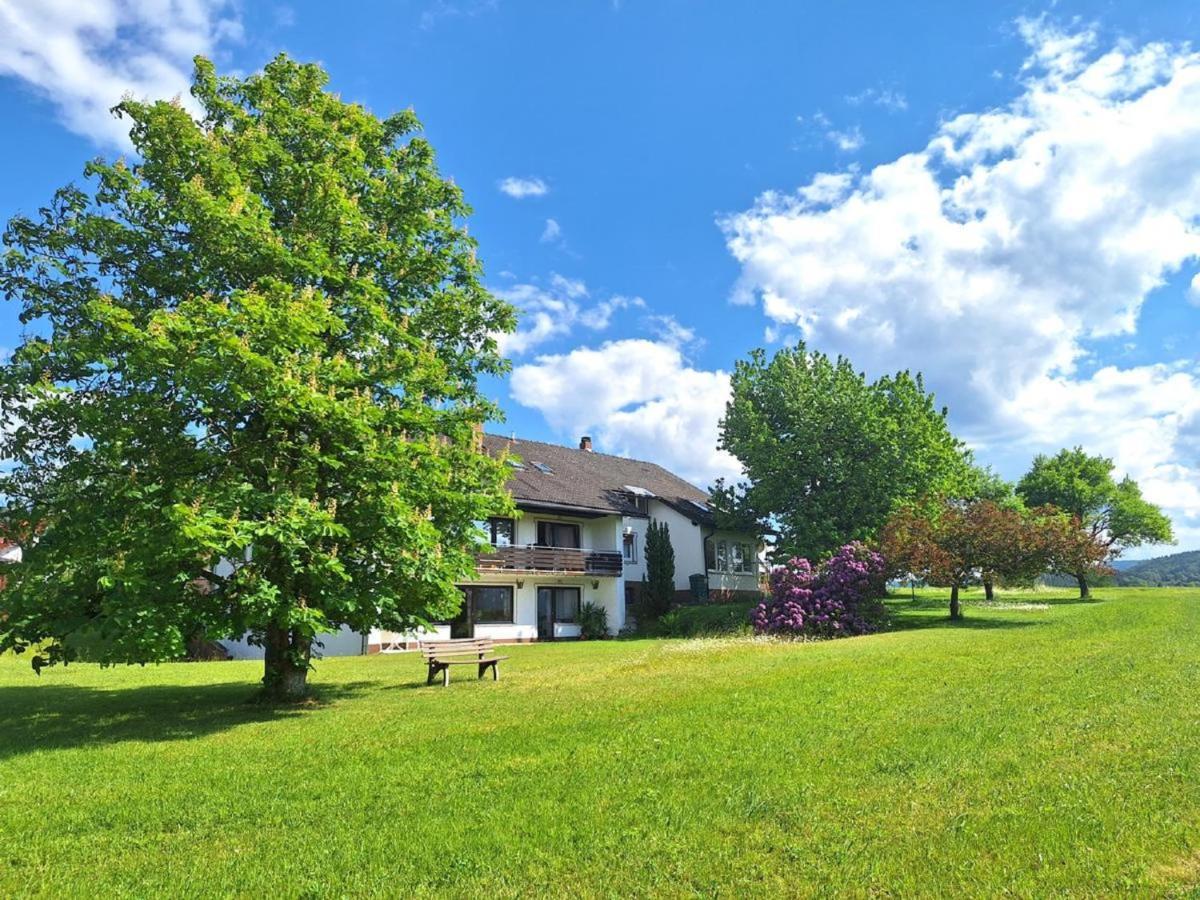 Pension Schneider Frauenau Exterior foto